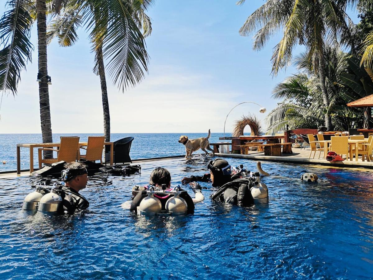 Villa Alba Bali Dive Resort Tulamben Exteriör bild