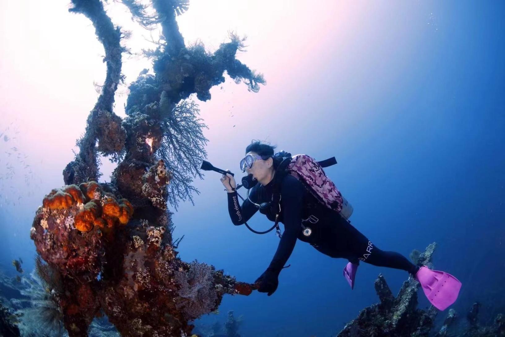 Villa Alba Bali Dive Resort Tulamben Exteriör bild